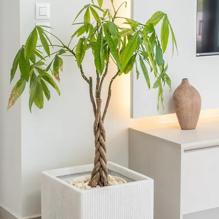 Agrilia Luxury Trapezaki 别墅